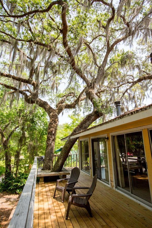 Riverfront Treetop Bungalow Homosassa Kültér fotó